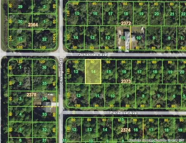 Port Charlotte, FL 33953,13313 JOHANNES (LOT 14) AVE