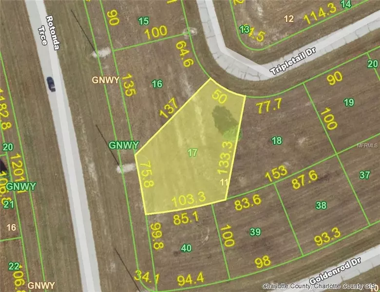 12363 TRIPLETAIL (LOT 17) DR, Placida, FL 33946