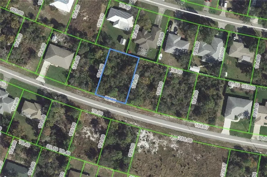 119 GRAPE RD NW, Lake Placid, FL 33852
