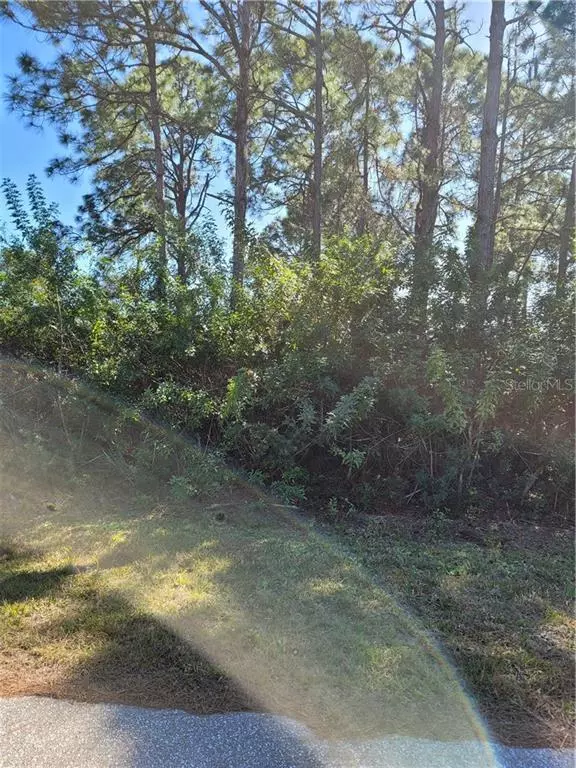 14129 NAYLOR AVE, Port Charlotte, FL 33981