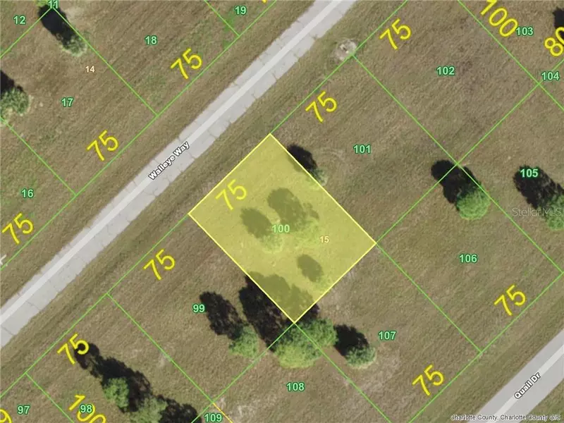 13716 WALLEYE (LOT 100) WAY, Placida, FL 33946