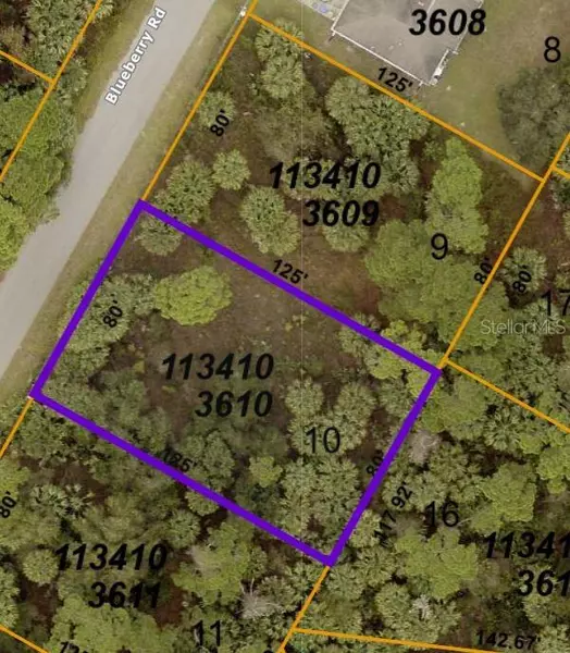 Lot 10 BLUEBERRY RD, North Port, FL 34288