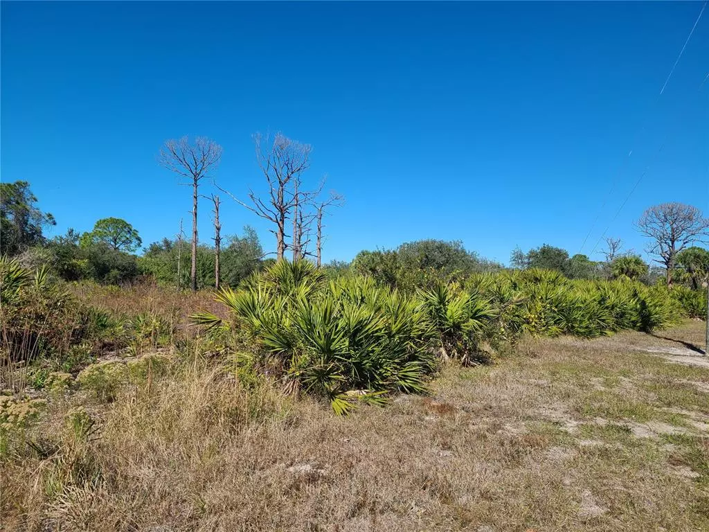 Placida, FL 33946,173, 175 BRIG CIR W