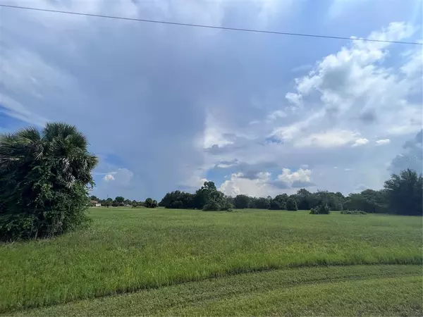 Placida, FL 33946,4 FLARE CT