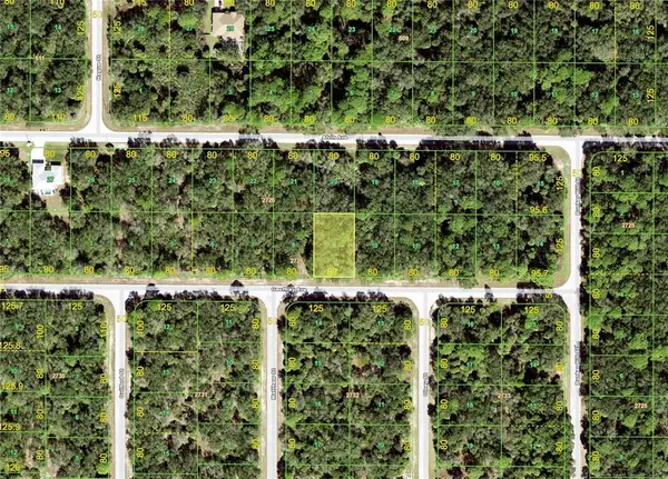 Port Charlotte, FL 33948,17166 GEOFFREY (LOT 9) AVE