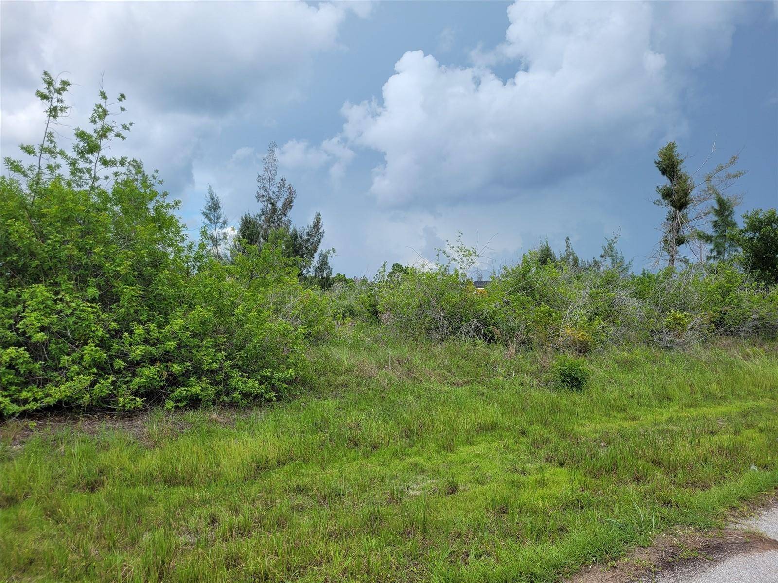 Port Charlotte, FL 33981,10136 AMY TER