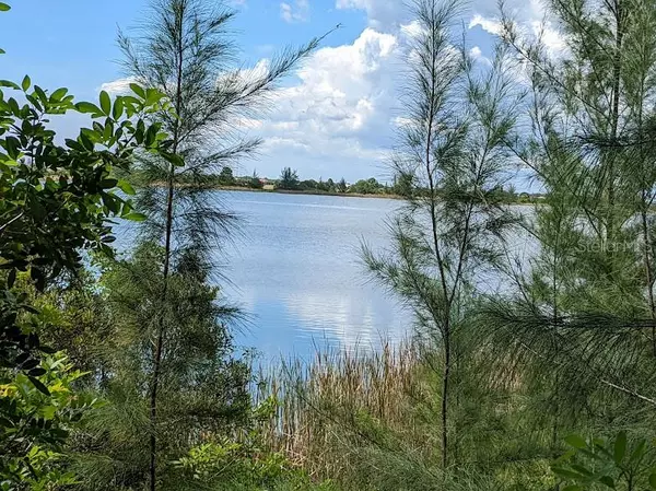 Placida, FL 33946,11504 CHIMERA PL