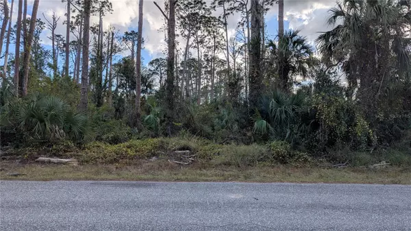 Port Charlotte, FL 33954,17421 DUDLEY AVE