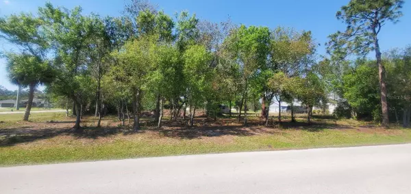 Punta Gorda, FL 33955,11429 PINETRAIL RD