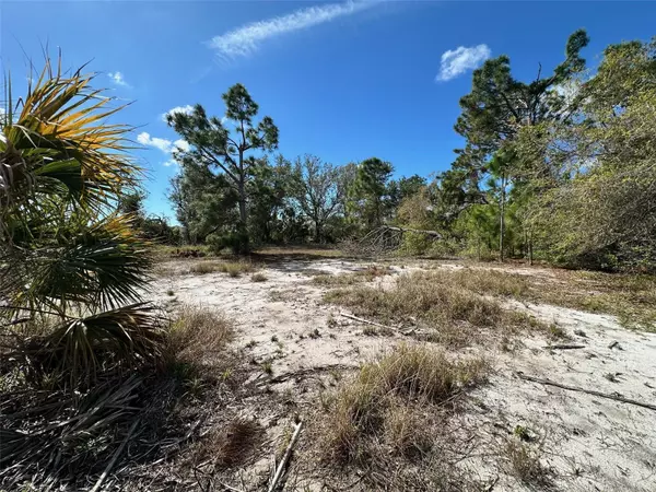 Port Charlotte, FL 33981,11417 CLAGGETT AVE