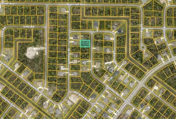 North Port, FL 34286,Lot 21 MAXIMO RD