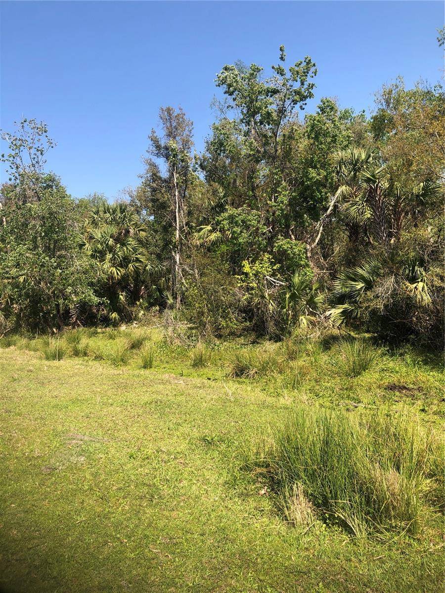 SW ADVENTURE WAY,  Arcadia,  FL 34266