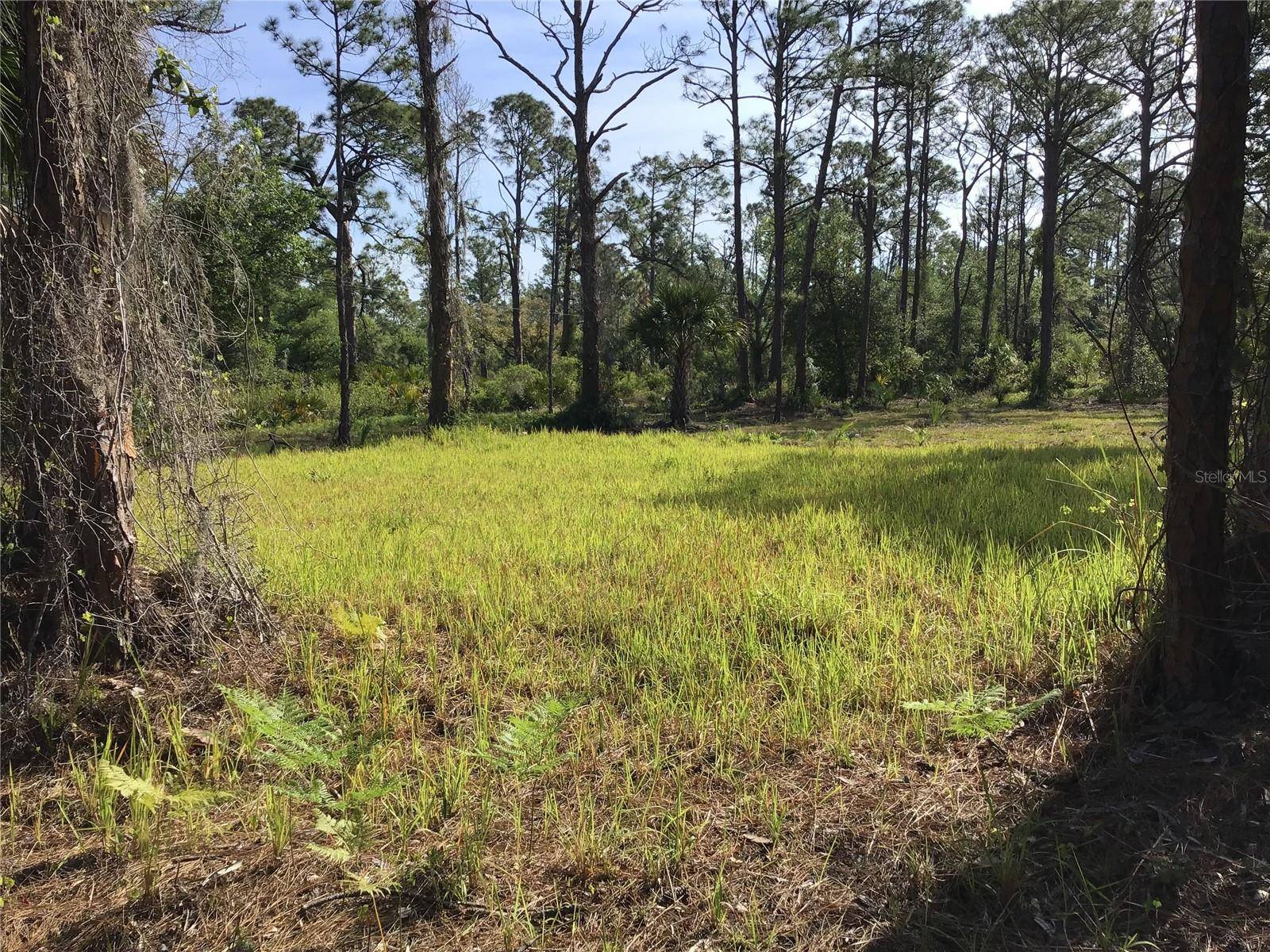 13068 and 13076 WOOLARD AVE, Port Charlotte, FL 33953