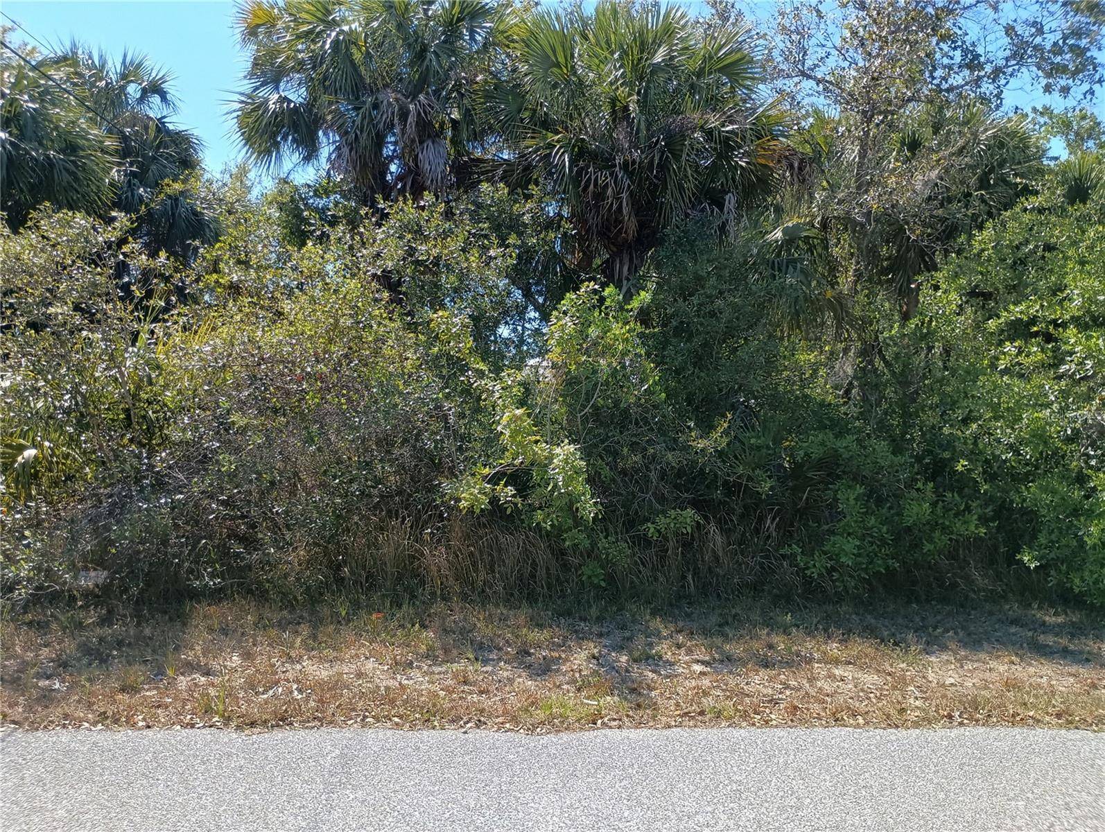 Port Charlotte, FL 33948,3278 CABARET ST