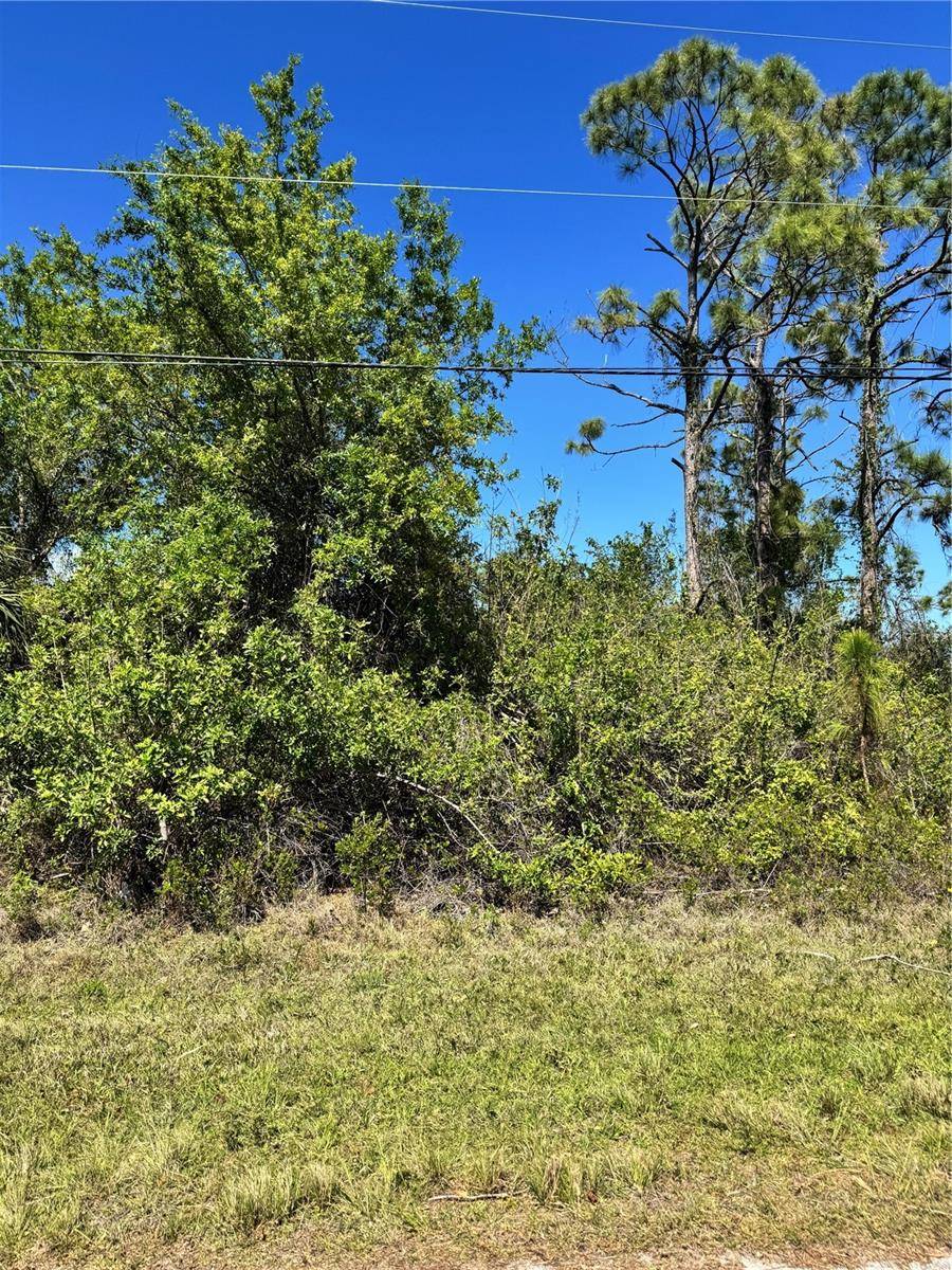 14400 POCONO AVE, Port Charlotte, FL 33981