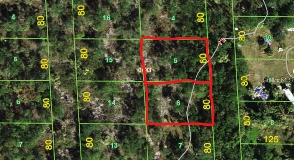 239 & 245 SAWFISH LN, Punta Gorda, FL 33982