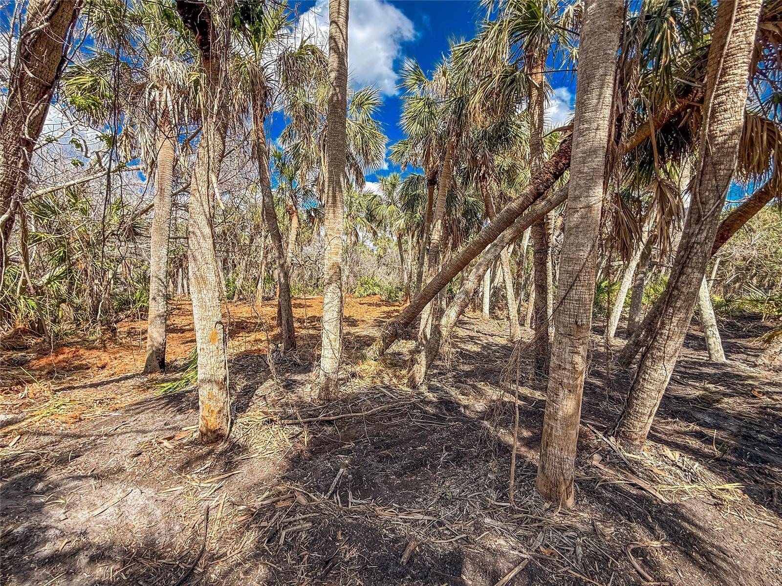 Englewood, FL 34223,0 MANASOTA KEY RD #Bay Side
