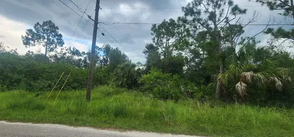 Port Charlotte, FL 33954,22436 DONALDA AVE