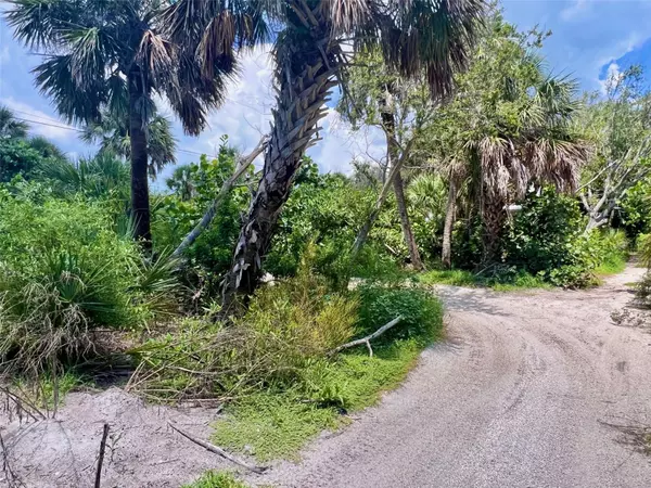 Placida, FL 33946,8132 LITTLE GASPARILLA IS