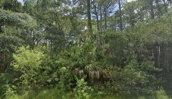 Port Charlotte, FL 33953,13986 DUNLAP AVE