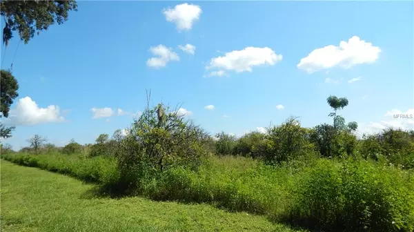 Dade City, FL 33525,Lot C-1 HUDSON LN