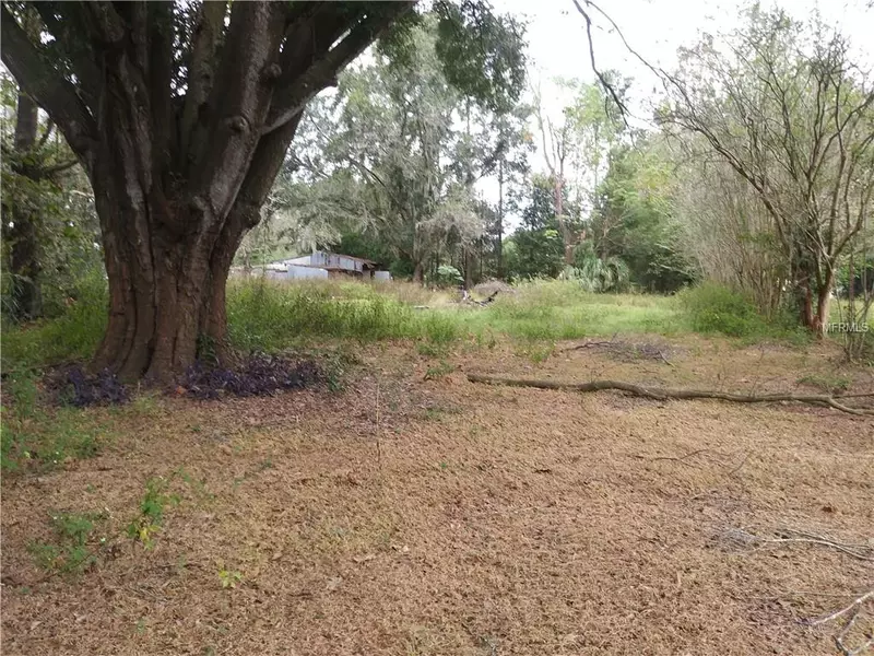 37153 PAULS DR, Zephyrhills, FL 33541