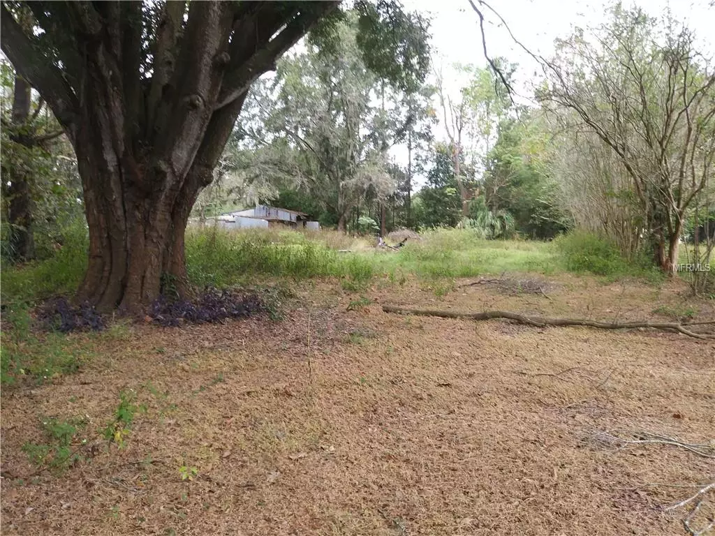 Zephyrhills, FL 33541,37153 PAULS DR