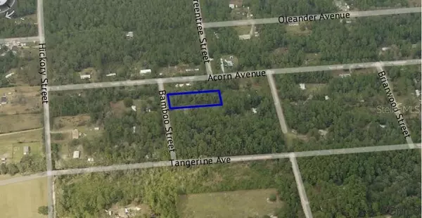 Bunnell, FL 32110,2829 BAMBOO ST