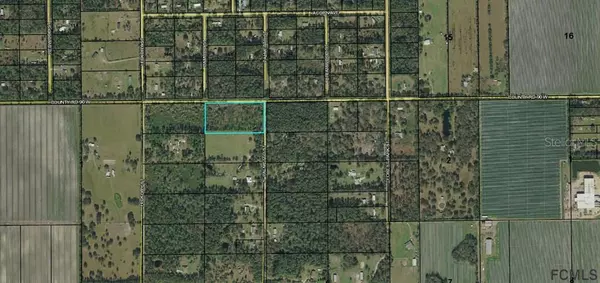 Bunnell, FL 32110,3010 PALMETTO ST S