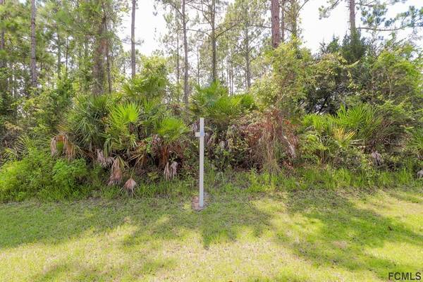 205 UNDERWOOD TRL, Palm Coast, FL 32164