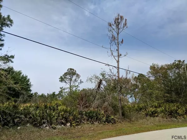 Palm Coast, FL 32164,85 PRINCETON LN