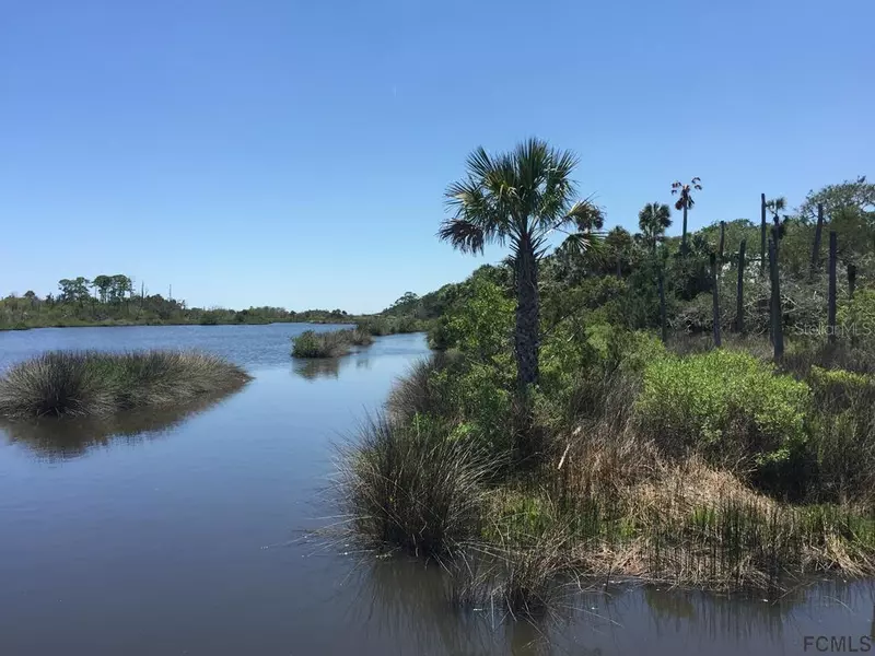 35 BULOW WOODS CIR, Flagler Beach, FL 32136