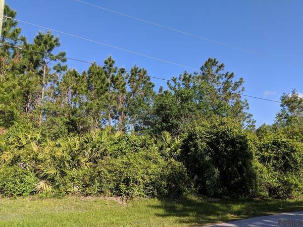 62 UNDERSHIRE PATH, Palm Coast, FL 32164