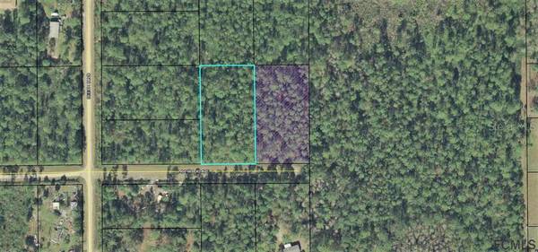 5388 NUTWOOD AVE, Bunnell, FL 32110