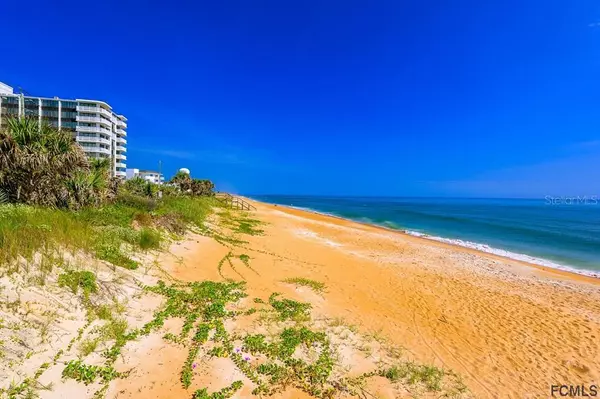 Flagler Beach, FL 32136,3600 OCEAN SHORE BLVD #317