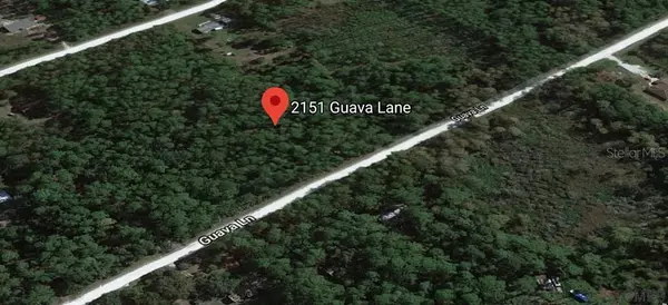 Bunnell, FL 32110,2151 GUAVA LN