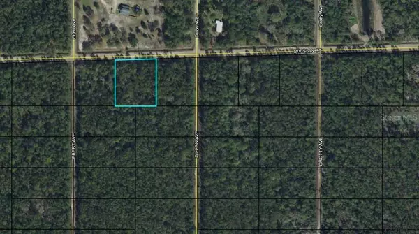 00 DIVISION AVE, Bunnell, FL 32110