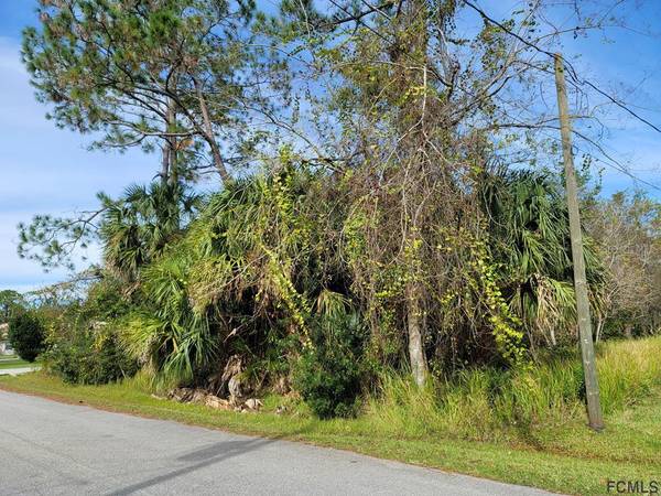 27 ROUND MILL LN, Palm Coast, FL 32164