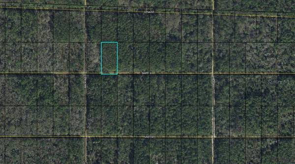 00 MARY ST, Bunnell, FL 32110