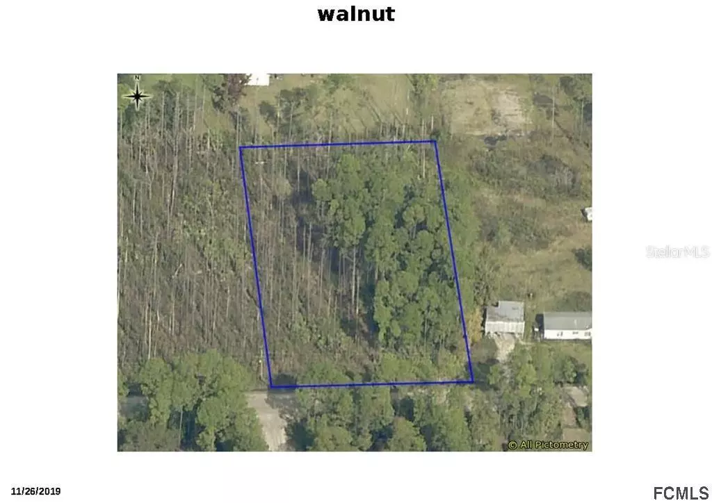 Bunnell, FL 32110,5554 WALNUT AVE