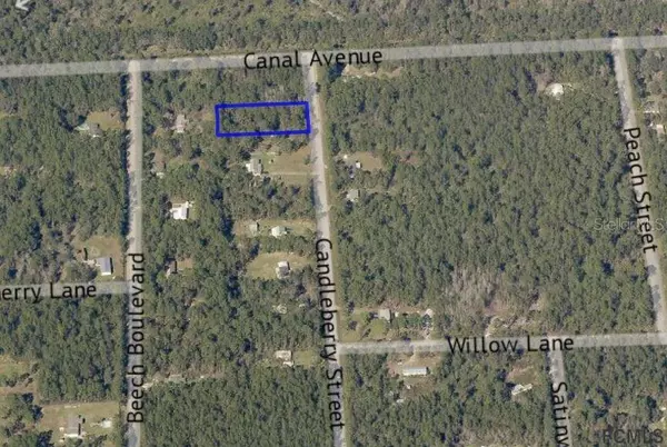 Bunnell, FL 32110,1058 CANDLEBERRY ST