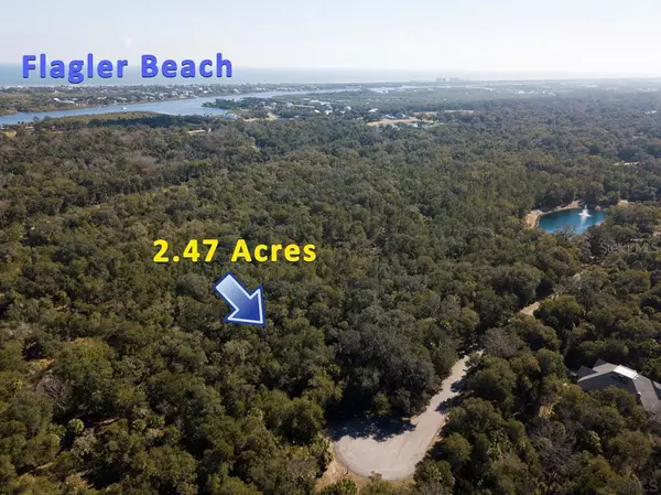 100 BRIDLE RIDGE CT, Flagler Beach, FL 32136