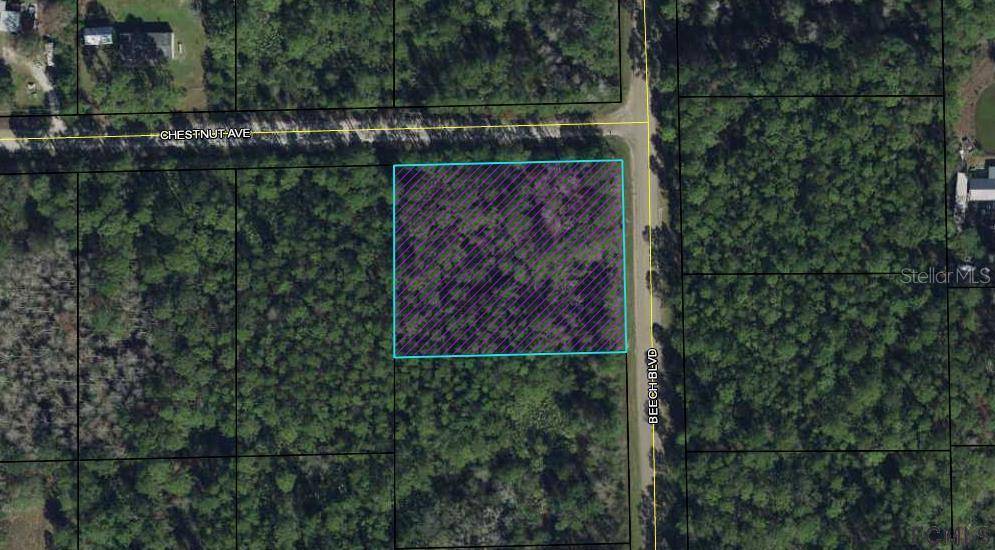 1628 BEECH BLVD, Bunnell, FL 32110