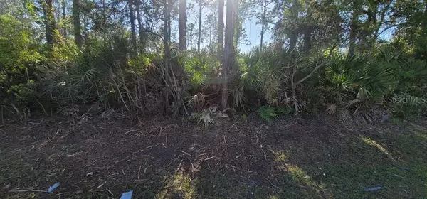 Palm Coast, FL 32164,25 SEWARD TRL E