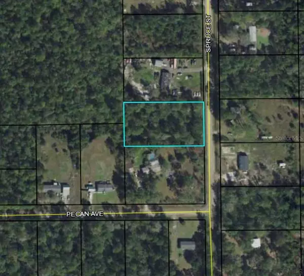 Bunnell, FL 32110,2864 SPRUCE ST