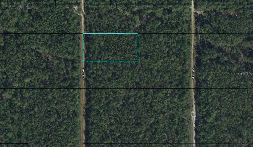 00 FRED AVE, Bunnell, FL 32110