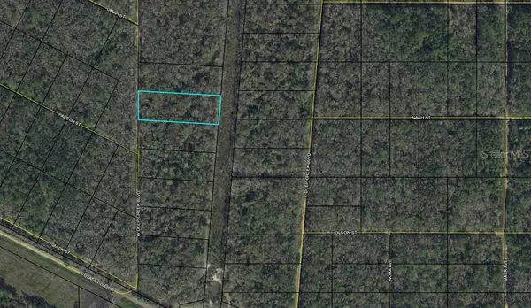 Bunnell, FL 32110,0000 W DEEP CRK