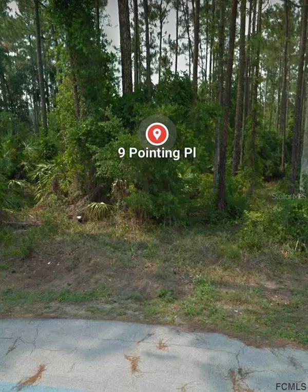 Palm Coast, FL 32164,9 POINTING PL