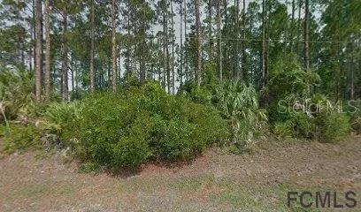 53 BROCKTON LN, Palm Coast, FL 32137