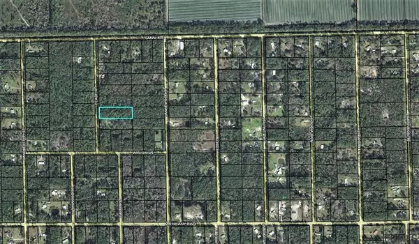 Bunnell, FL 32110,1189 PEACH ST